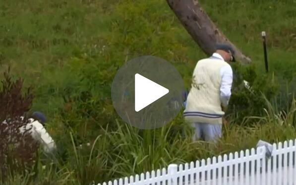 [Watch] Nathan Lyon Searches For Lost Ball In Bushes During Sheffield Shield Match